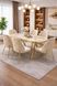 Обеденный комплект АЙЛИН изображение 1 | Altek Mebel