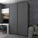 Шкаф купе G-Caiser Графит Графит 2 ДСП / 3 части 180х60х240 изображение 2 | Altek Mebel