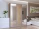 Шкаф купе City Лайт Дуб Cонома 1 ДСП / 2 Зеркала 180х60х225 изображение 1 | Altek Mebel